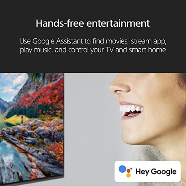 Sony 65 inch X90L Full Array LED 4K Ultra HD Smart Google TV - Image 10