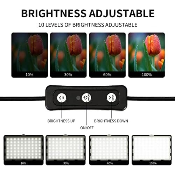 Photography Video Lighting Kit, LED Studio Streaming Lights W/70 Beads & Color - Image 2