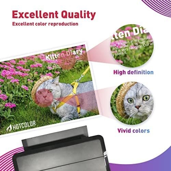 HOTCOLOR PG-243 CL-244 Replacement for Canon Ink cartridges 243 and 244 - Image 5